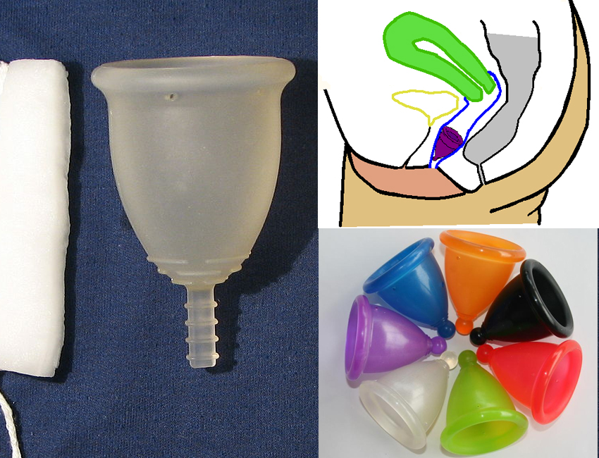 മെന്‍സ്ട്രുവല്‍ കപ്പ് , Menstrual Cup, Menstruation