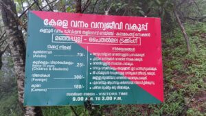 പൈതൽ മല, വൈതൽ മല