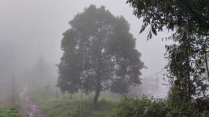 പൈതൽ മല, വൈതൽ മല
